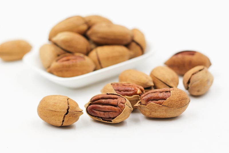 Protein Bar